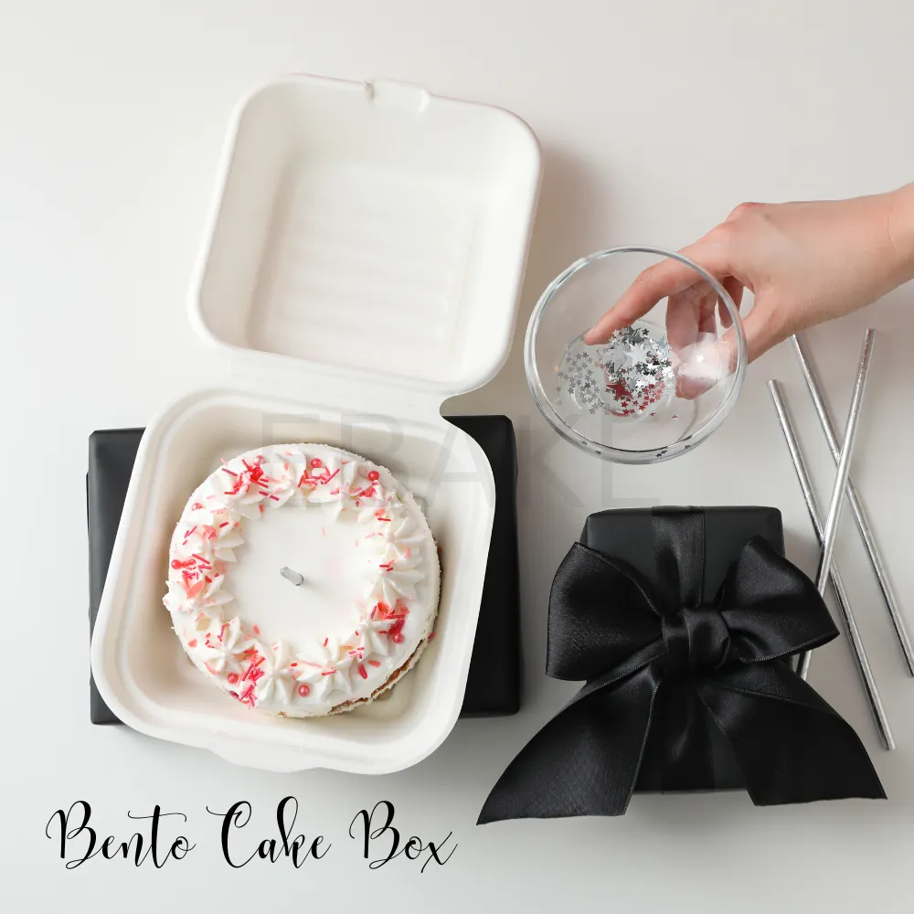 Bento Cake Box - Small (Set of 5)