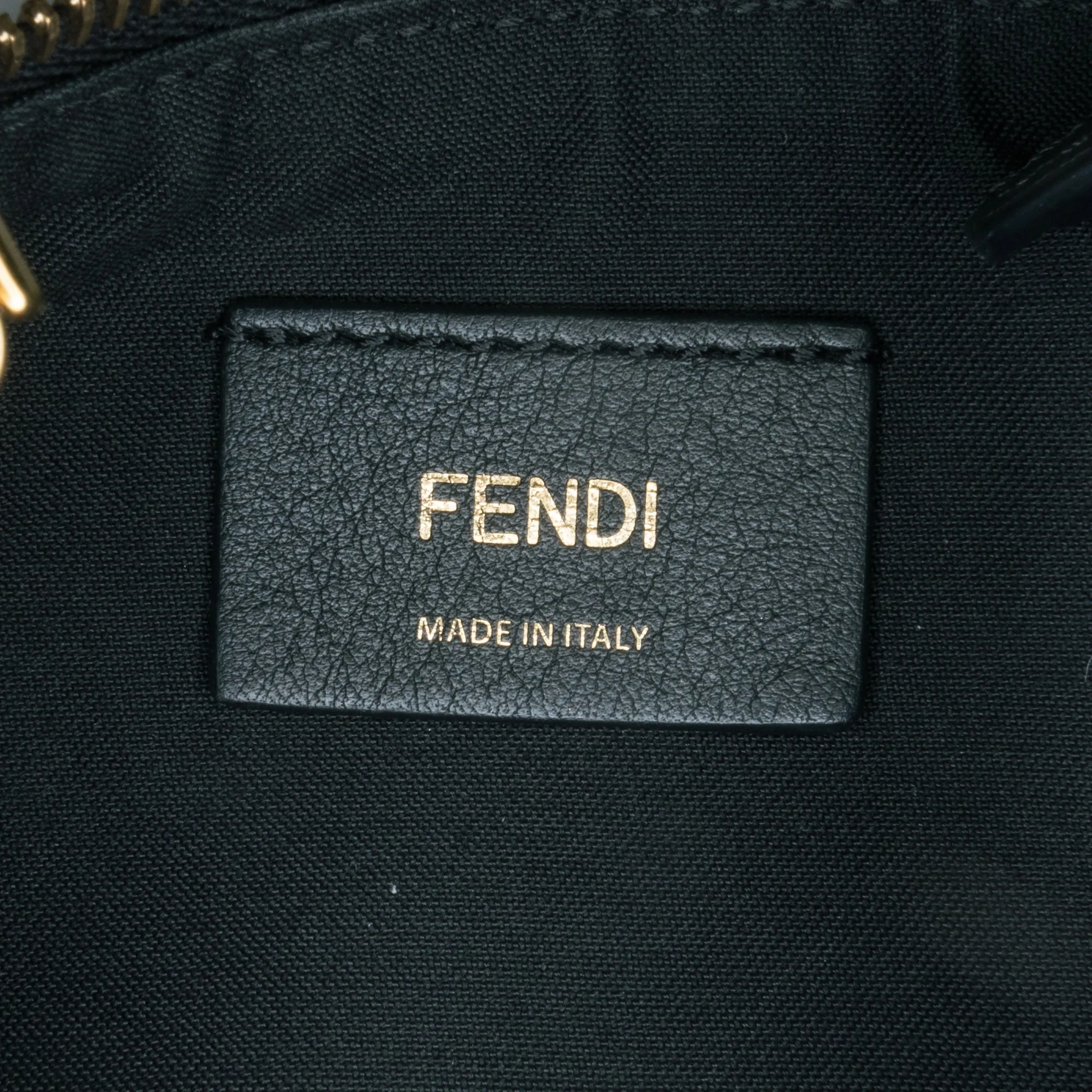 Black Fendi Medium Leather Fendigraphy Hobo