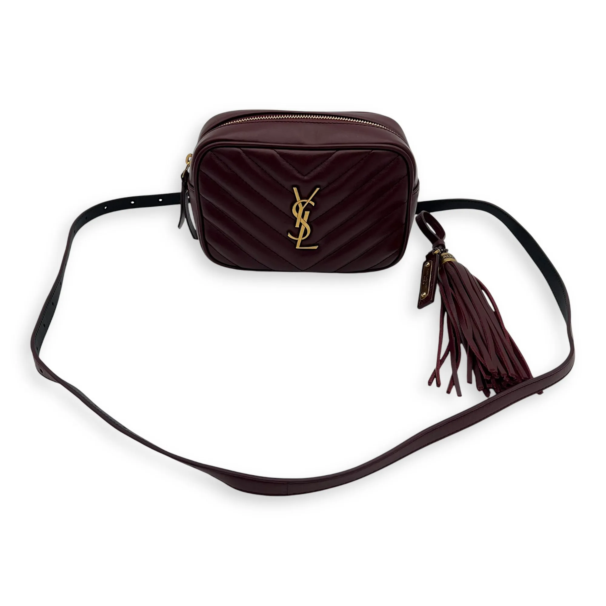 Camera Crossbody Bag Red in Calfskin, Gold hardware