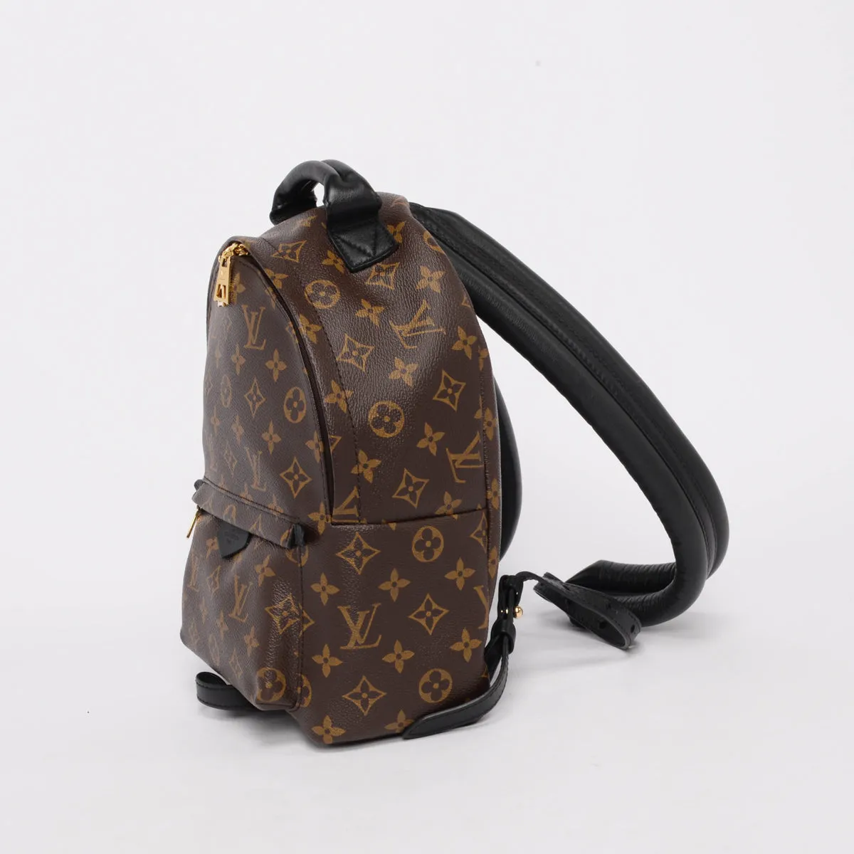 Louis Vuitton Monogram Palm Springs PM Backpack