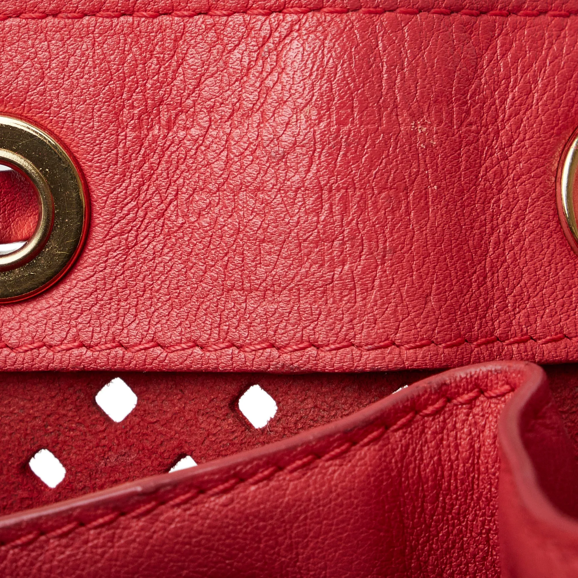 Red Louis Vuitton x Sofia Coppola Flore Perforated Noe Bucket Bag